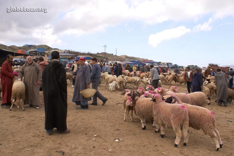 Tetouan, mercado de animales