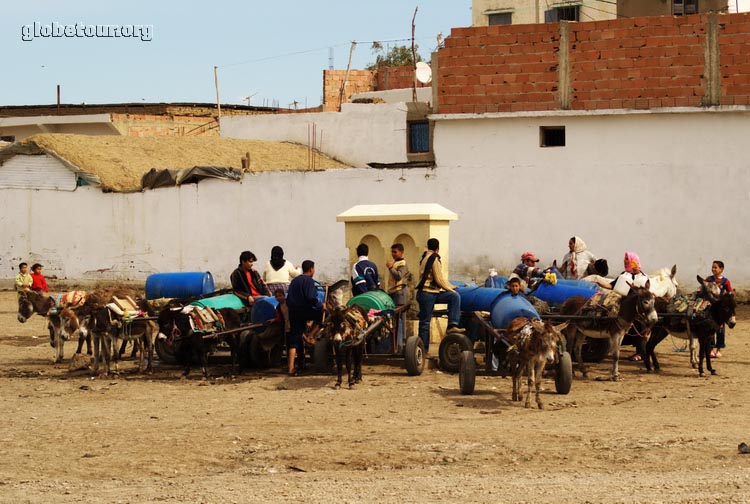 Camino de Fez