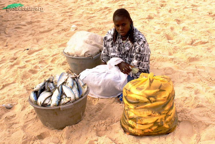 Mauritania, Nouakchott, puerto de la pesca