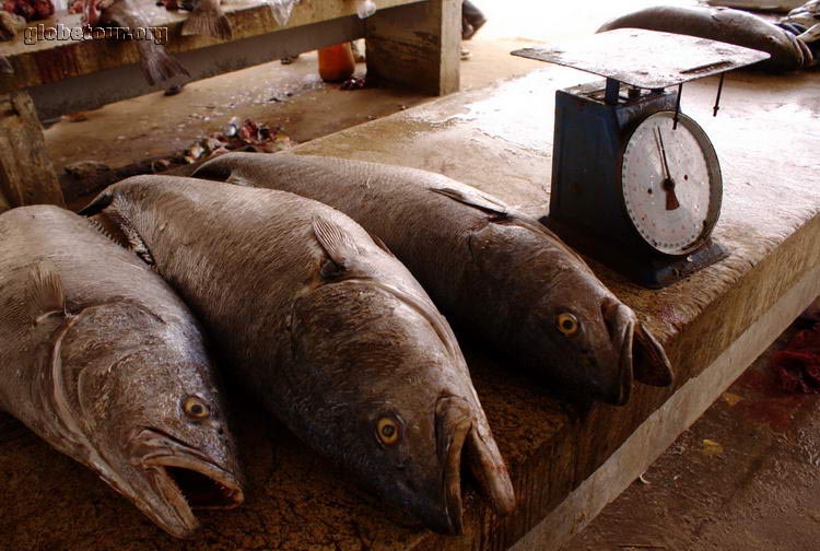 Mauritania, Nouakchott, puerto de la pesca