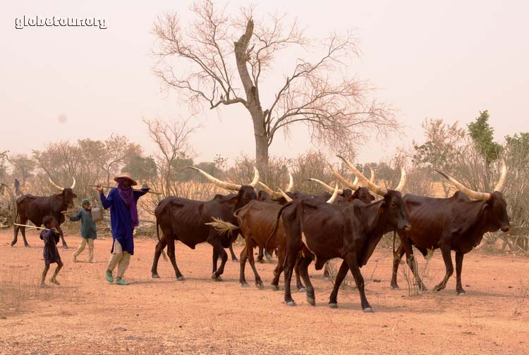 Niger, Camino de Maradi