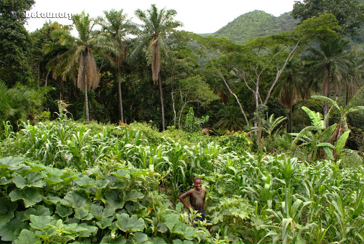 Camerun, Badzuidjong, campo de la asociacin Kentaja