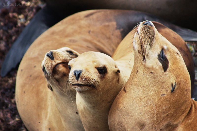 US, California, San Diego, La Jolla