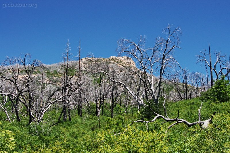 US, California, Cuyamaca Rancho State Parc