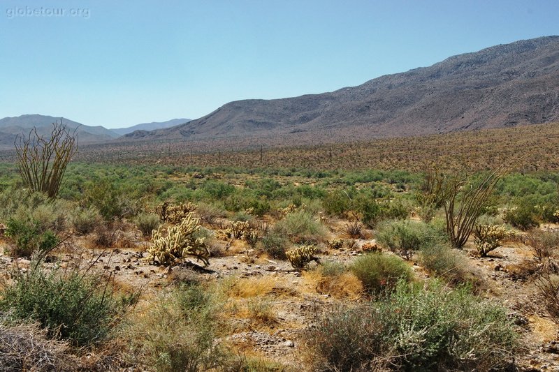 US, California, Anza Borrego desert