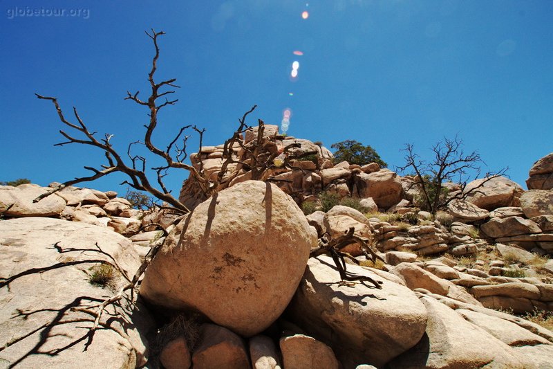 US, California, Joshua Tree National Park