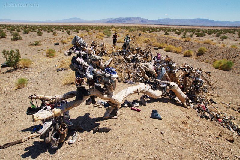 US, California, Shoe tree in route 66