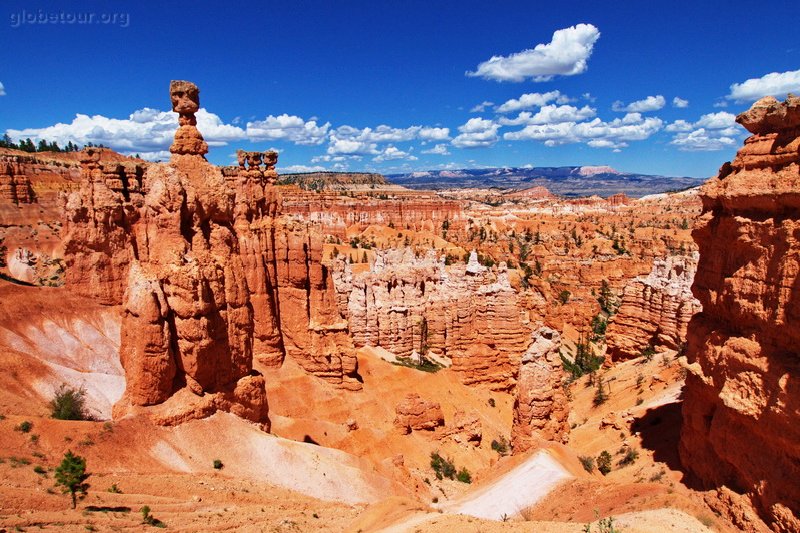 US, Utah, Bryce Canyon, Navajo and Queens garden trail.