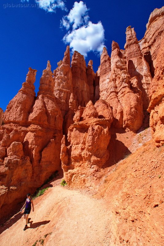 US, Utah, Bryce Canyon, Navajo and Queens garden trail.