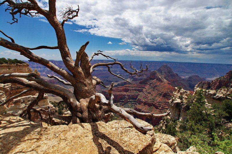 US, Arizona, Grand Canyon, Northen Rim, Vista Encantada