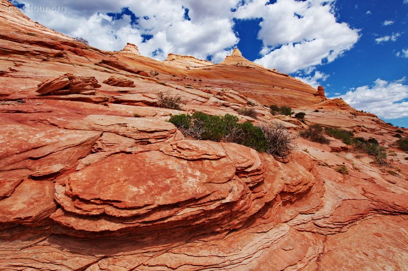 US, Arizona/Utah, Coyote Buttes