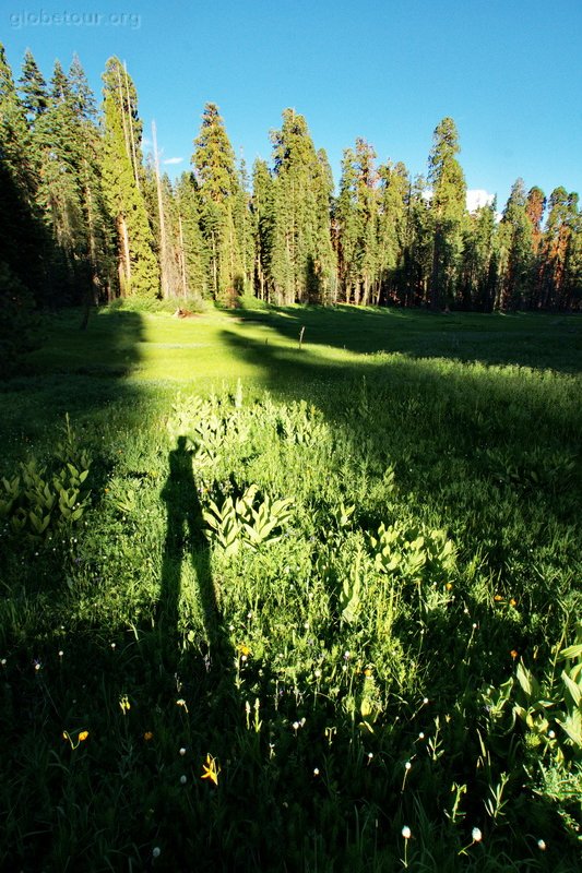 US, Sequoya National Park, Crescent Meadow