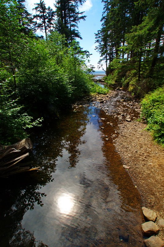 US, Oregon, near Oswad beach