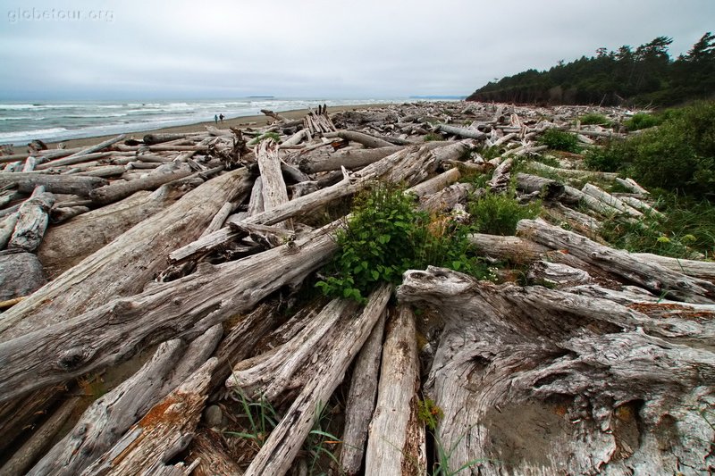 US, Washington, near rugbi beach