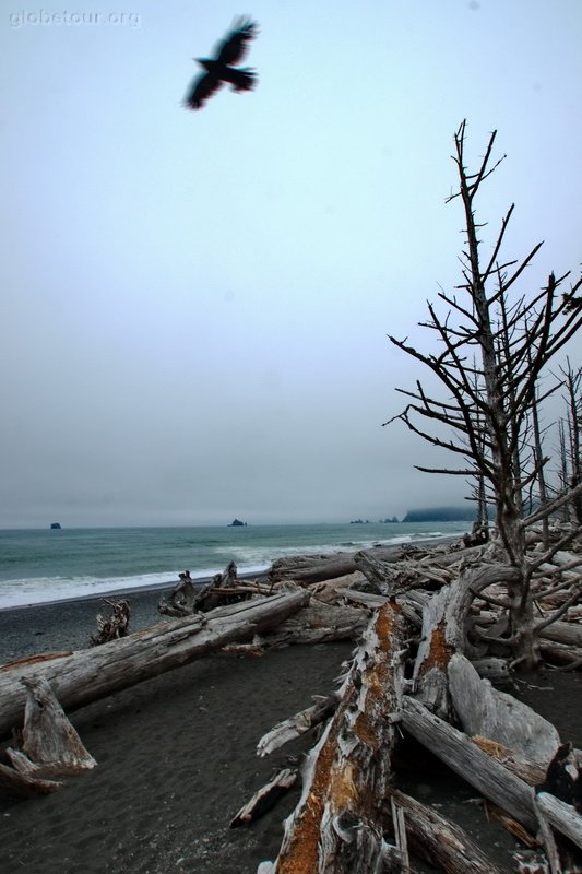 US, Washington, Rialto beach