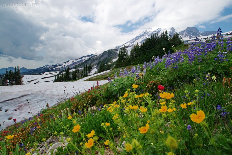 US, Washington, Mount Rainier National Park