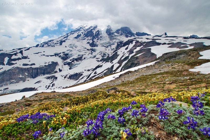 US, Washington, Mount Rainier National Park