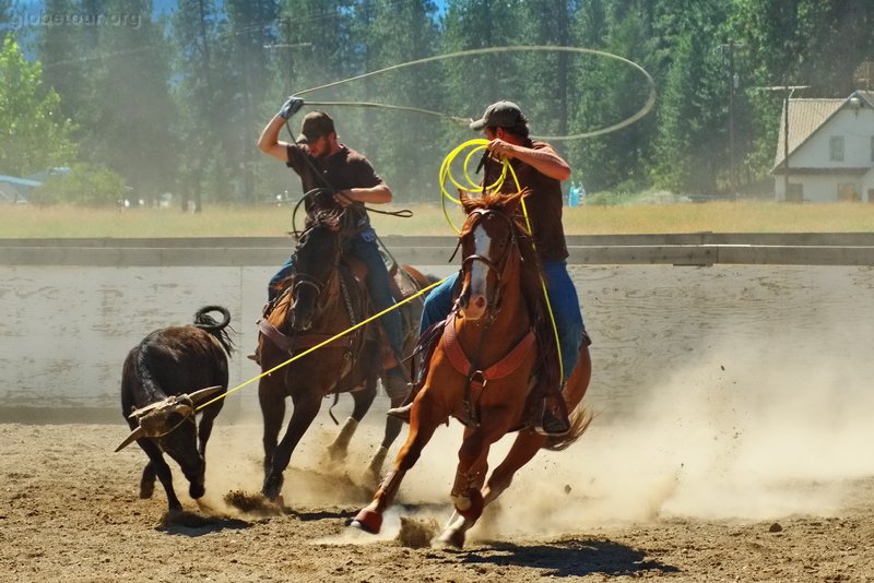 US, Washington, Colville cowboys