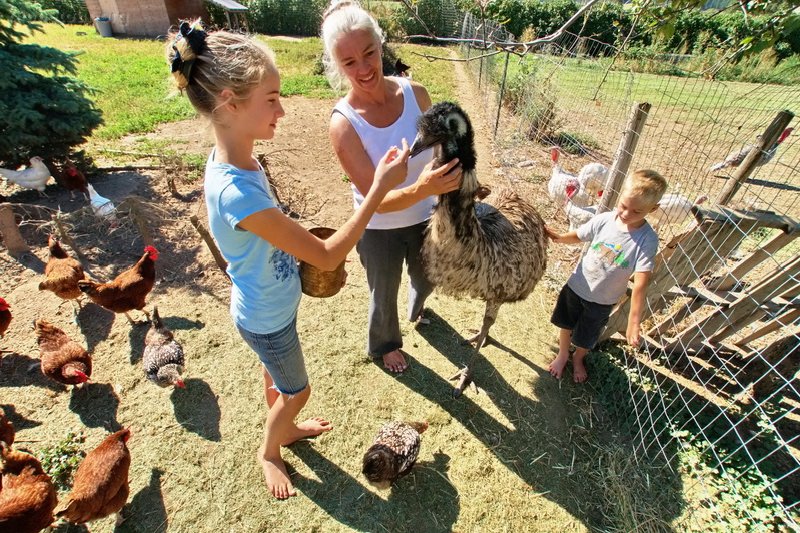 US, Washington, Colville farm, nice pet.