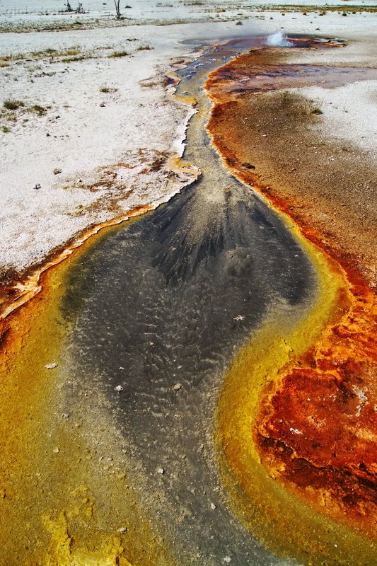 US, Yellowstone National Park, black sand basin
