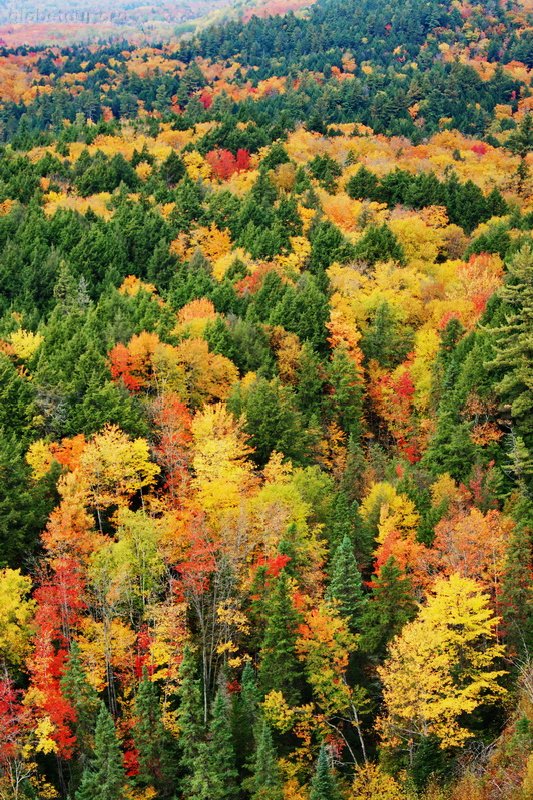 Canada, Algonquin Provincial Park, view from Booth's Rock