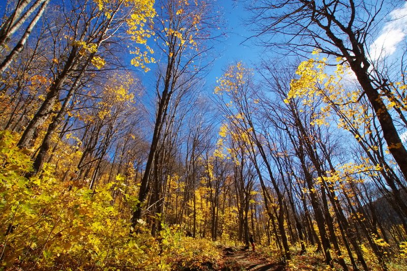 Canada, Jacques Cartier National Park