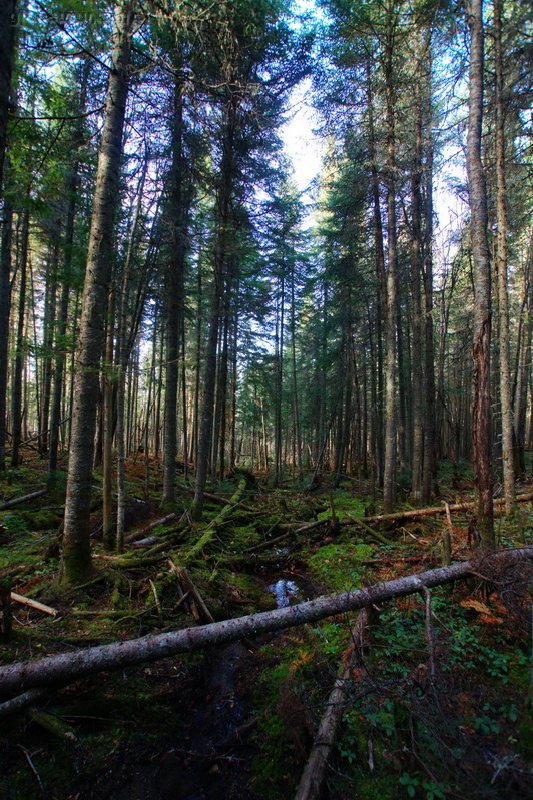 Canada, Jacques Cartier National Park