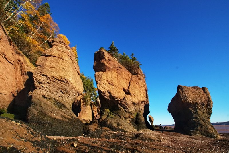 Canada, Hopewell hight tides, low