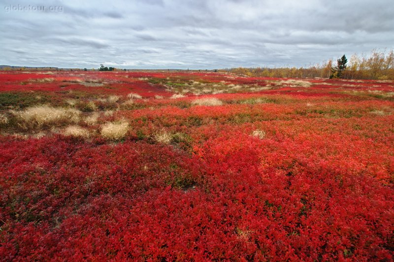 US, tipical landscape in Maine