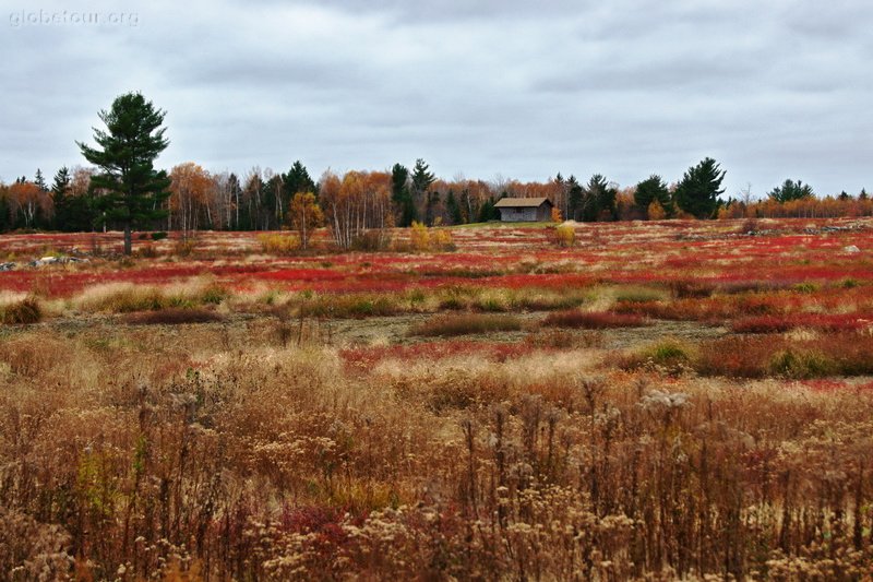 US, tipical landscape in Maine