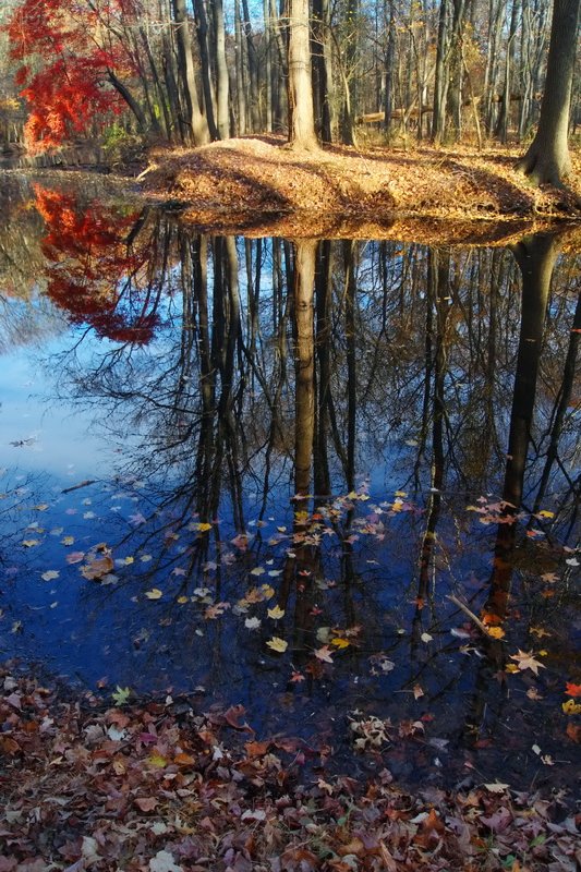 US, New Jersey, Cranford park