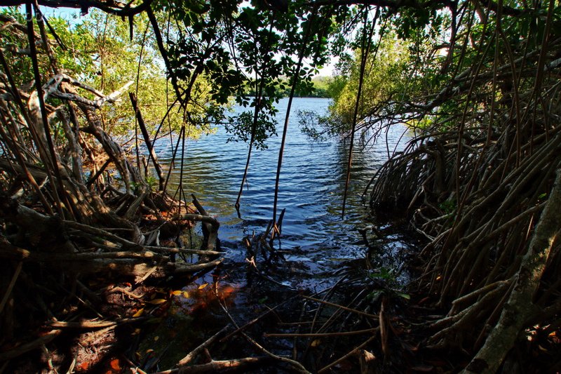 Belice, Sartaneja, cenote