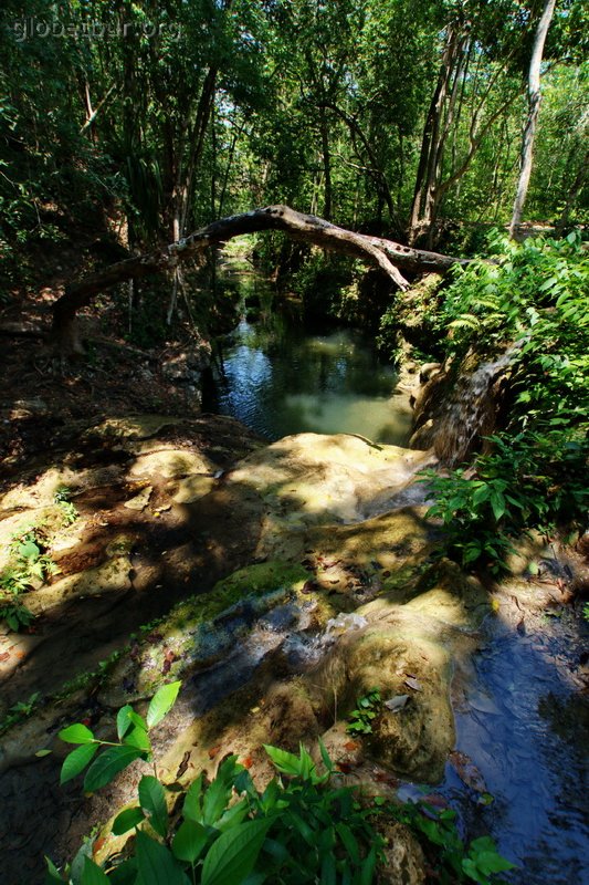 Belice, riber close to Cayo