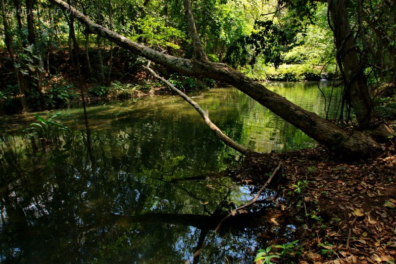 Belice, riber close to Cayo