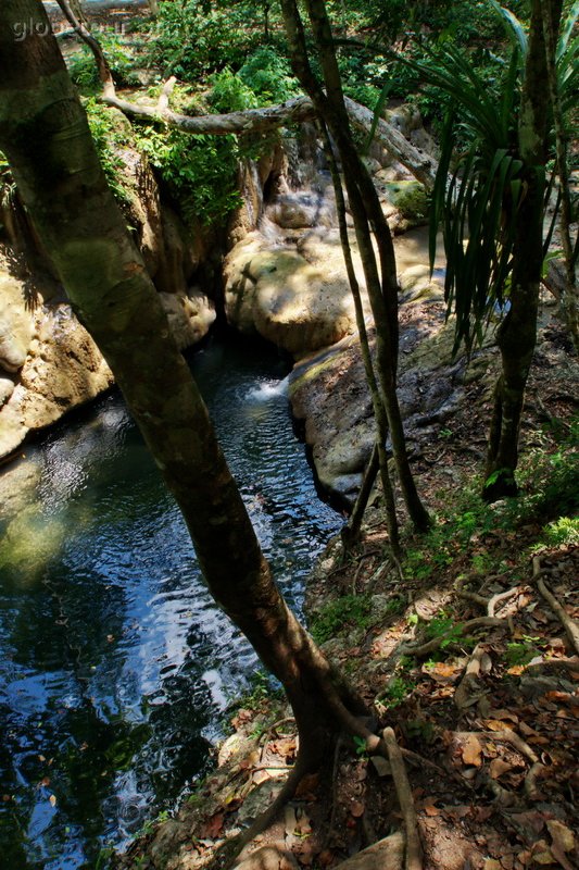 Belice, riber close to Cayo