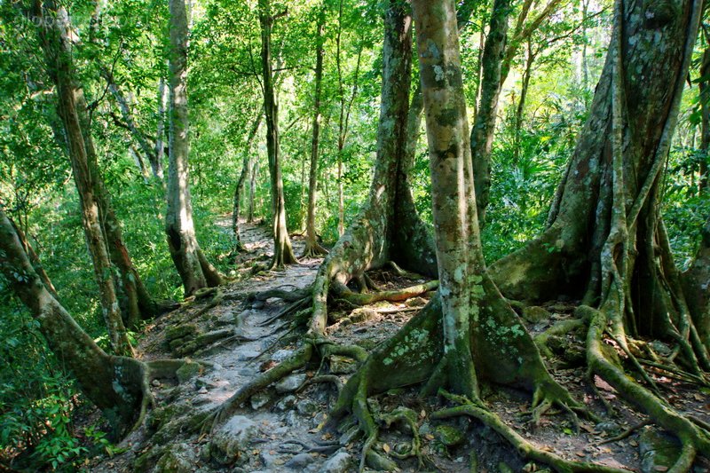 Guatemala, Tikal