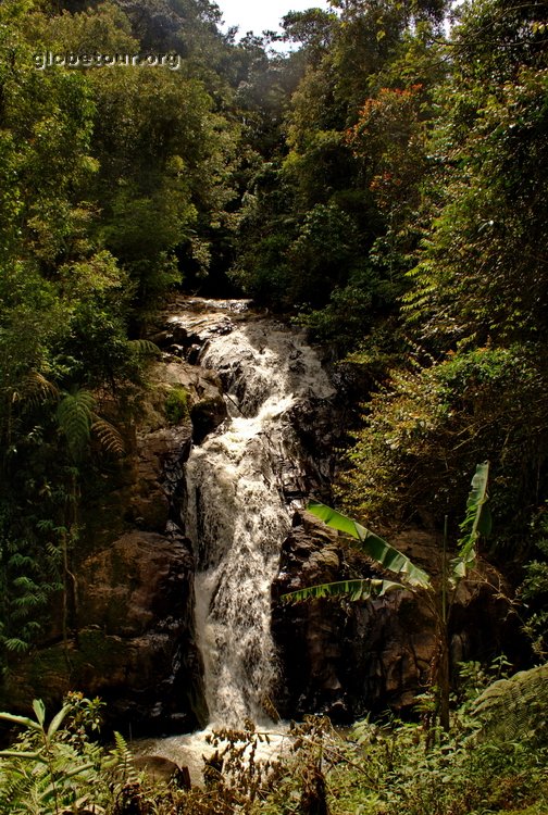 Malaysia, Cameron Highlands, Robinson falls