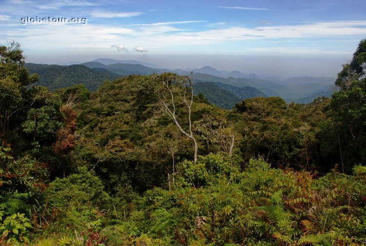 Malaysia, Cameron Highlands