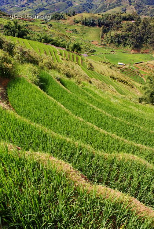 Vietnam, Sapa