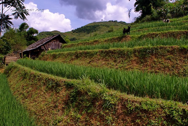 Vietnam, Sapa