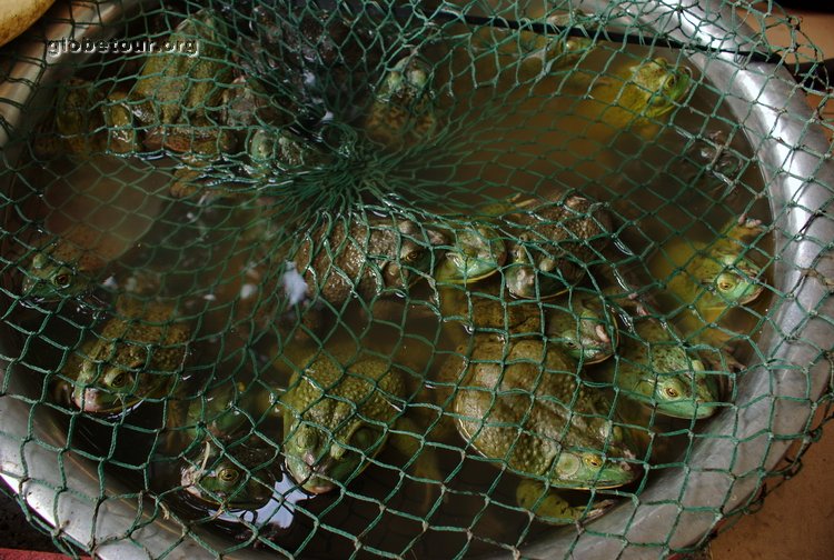 China, Chengdu, frogs ready to eat