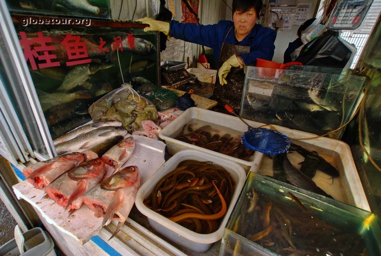 China, Xining, market food