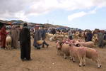 Tetouan,+mercado+de+animales