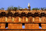 Rabat,+Ciudad+arqueolgica+de+Chellah