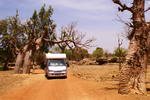 Mali,+Camino+haca+Dogon