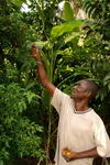 Congo,+Leketi,+Dany+the+gardener