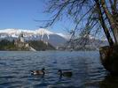 Lake+Bled