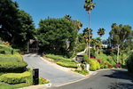 Los+Angeles,+carrer+i+jardins+a+Beverly+Hills