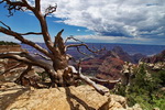 US,+Arizona,+Grand+Canyon,+Northen+Rim,+Vista+Encantada