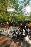 US,+Washington,+Seatle,+playing+chess.